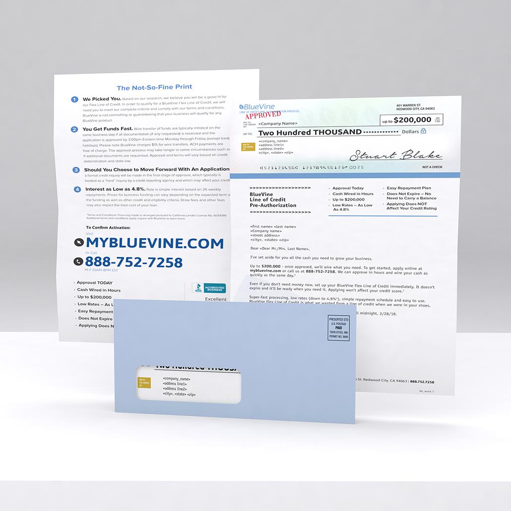 Blue Vine Logo - Blue Vine Direct Mail – David Safanda Design Solutions Inc.