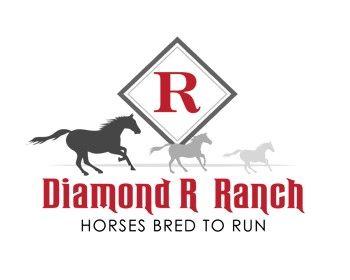 Diamond R Logo - DIAMOND R RANCH logo design contest - logos by foss