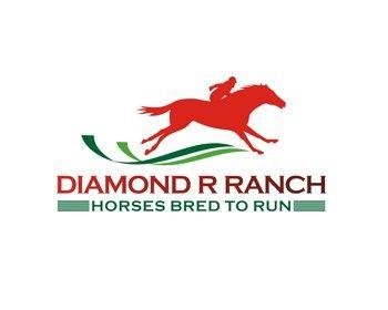 Diamond R Logo - DIAMOND R RANCH logo design contest - logos by OQ