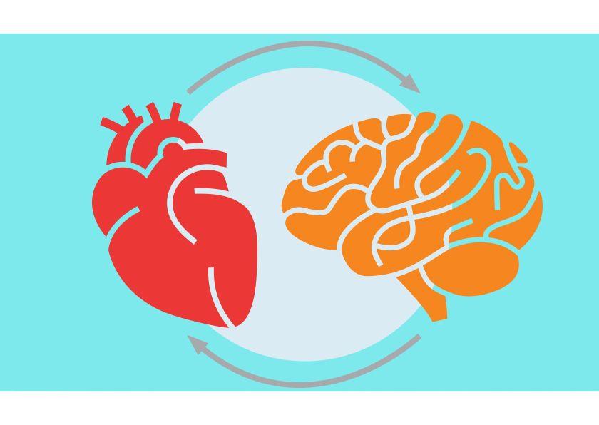 Heart Health and Wellness Logo - New study shows taking care of your heart helps your brain • Health