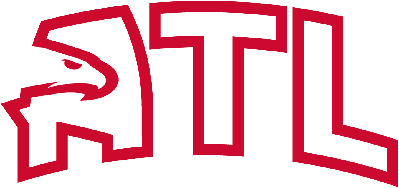 Atlanta Hawks Logo - Concept Hawks Logo