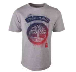 Purple Grey and Red Logo - Timberland Boy's Short Sleeves T-Shirt, Grey With Red And Purple ...