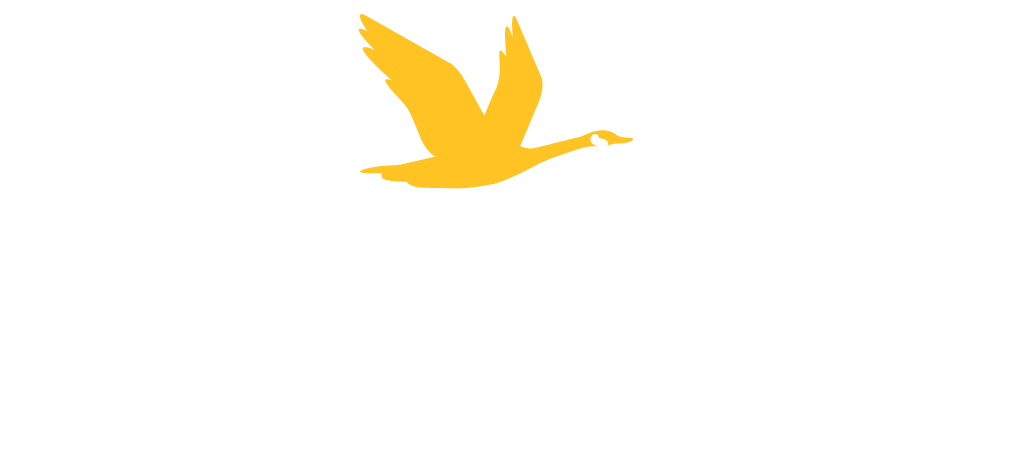 Wawa Logo - wawa-logo - Massa Multimedia Architecture