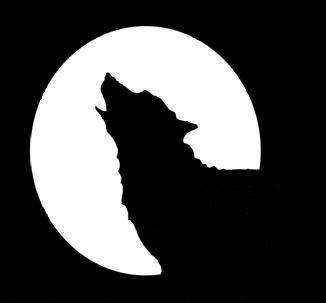 Black and White Dog Logo - Black Dog Logo
