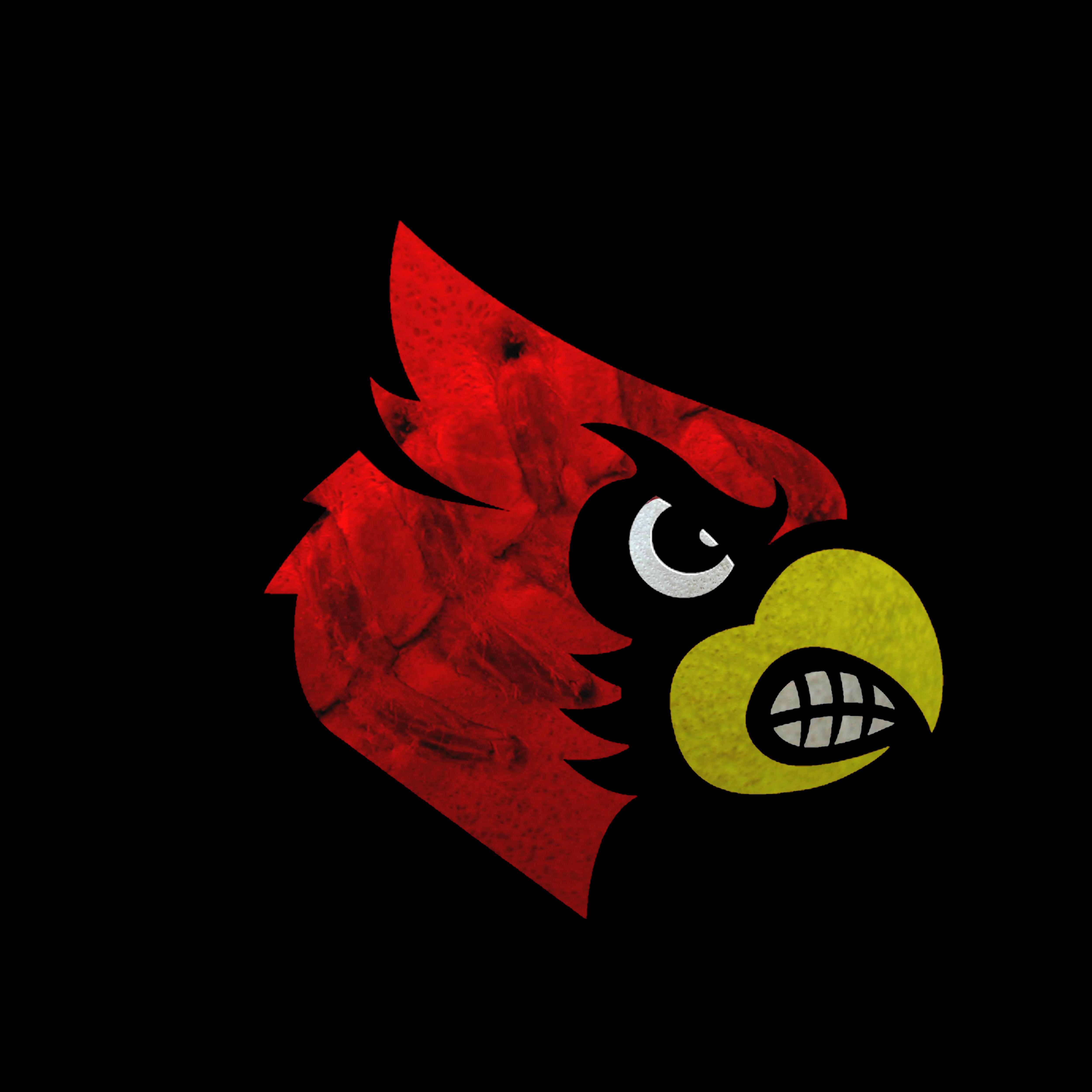 U of L Cardinal Logo LogoDix