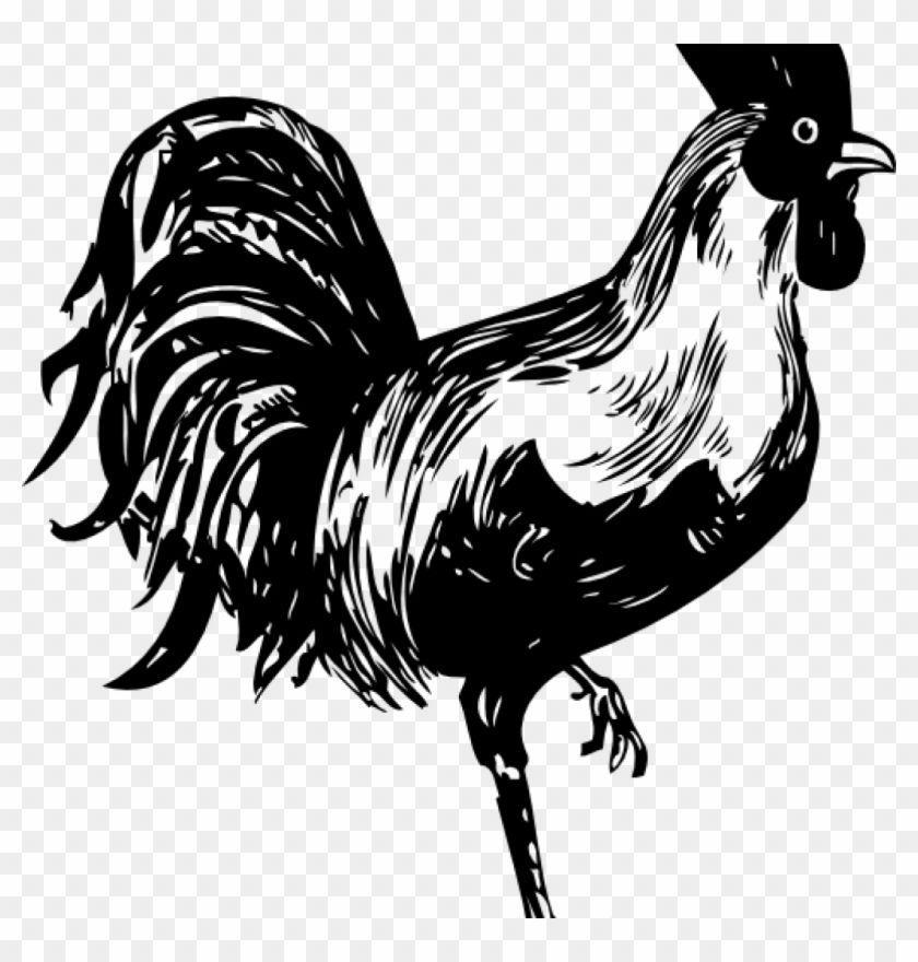 Black and White Rooster Logo - Rooster Clipart Black And White Rooster Clip Art At - Circle Swirl ...