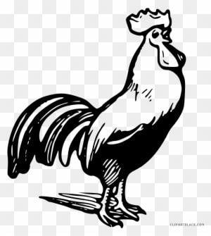 Black and White Rooster Logo - Rooster Clipart Black And White, Transparent PNG Clipart Image Free