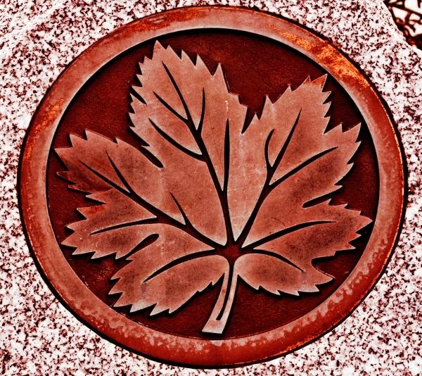 Red Maple Leaf Red Circle Logo - Red Maple Leaf In Circle Logo - #traffic-club