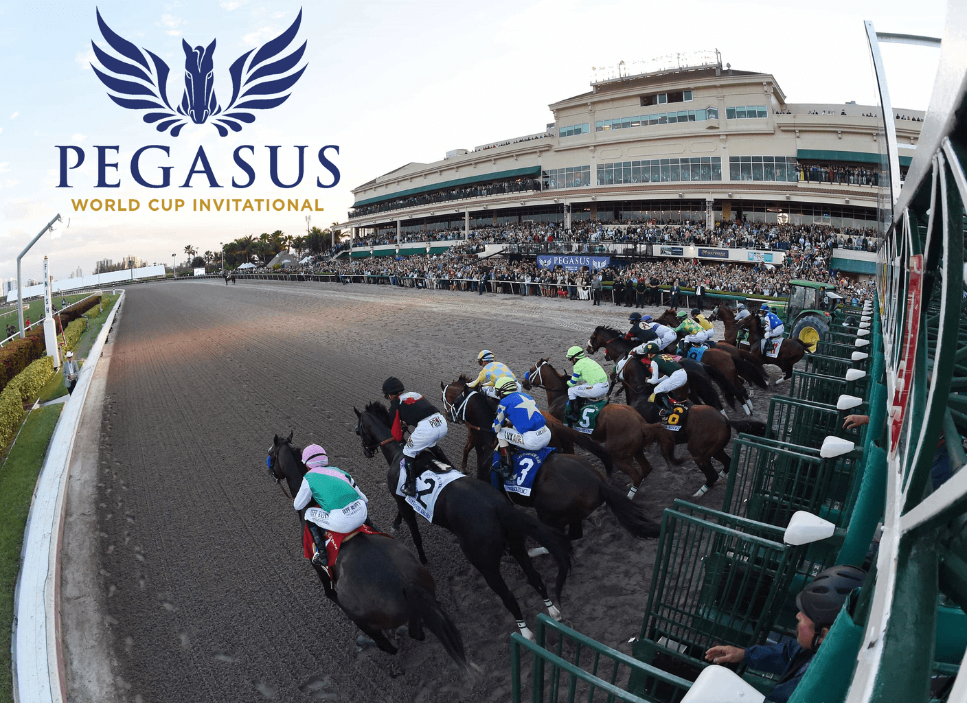 Pegasus Racing Logo - Pegasus World Cup Contenders, Picks and Results | Thoroughbred ...