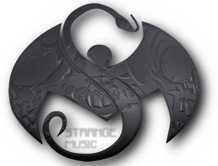 Snake Bat Logo - Custom skull snake bat logo