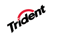 Trident Gum Logo - Best Brand of Bubble Gum
