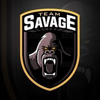 Savage Gaming Logo - Savage Gaming (@Savage_Gaming22) | Twitter