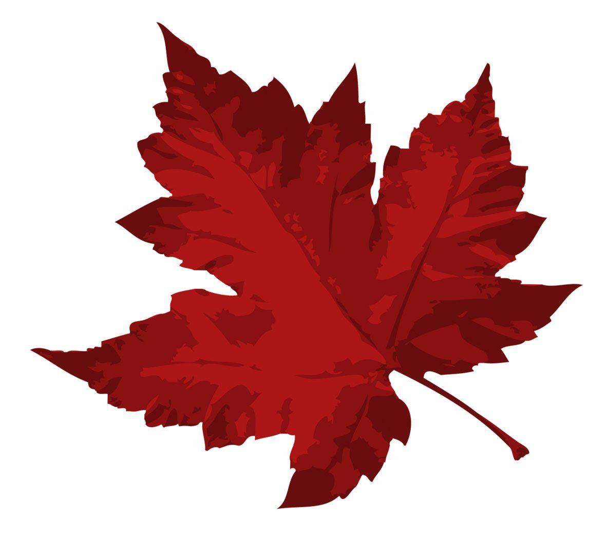 Red Maple Logo - Marketing Consultants, Advertising, Media Buying Services, York