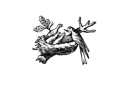 Bird Nest Logo - The Nestlé logo evolution. Nestlé Global