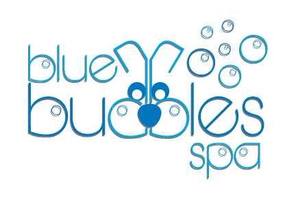 Blue Bubble Logo - Blue Bubble :: Home