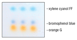 Blue and Orange G Logo - TriDye™ 100 bp DNA Ladder | NEB
