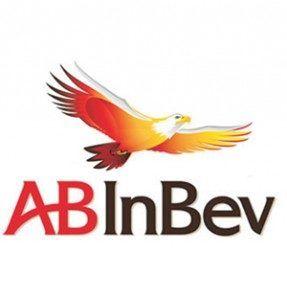 InBev Logo - Anheuser Busch InBev Bought Northern Brewer