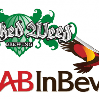 InBev Logo - A B InBev