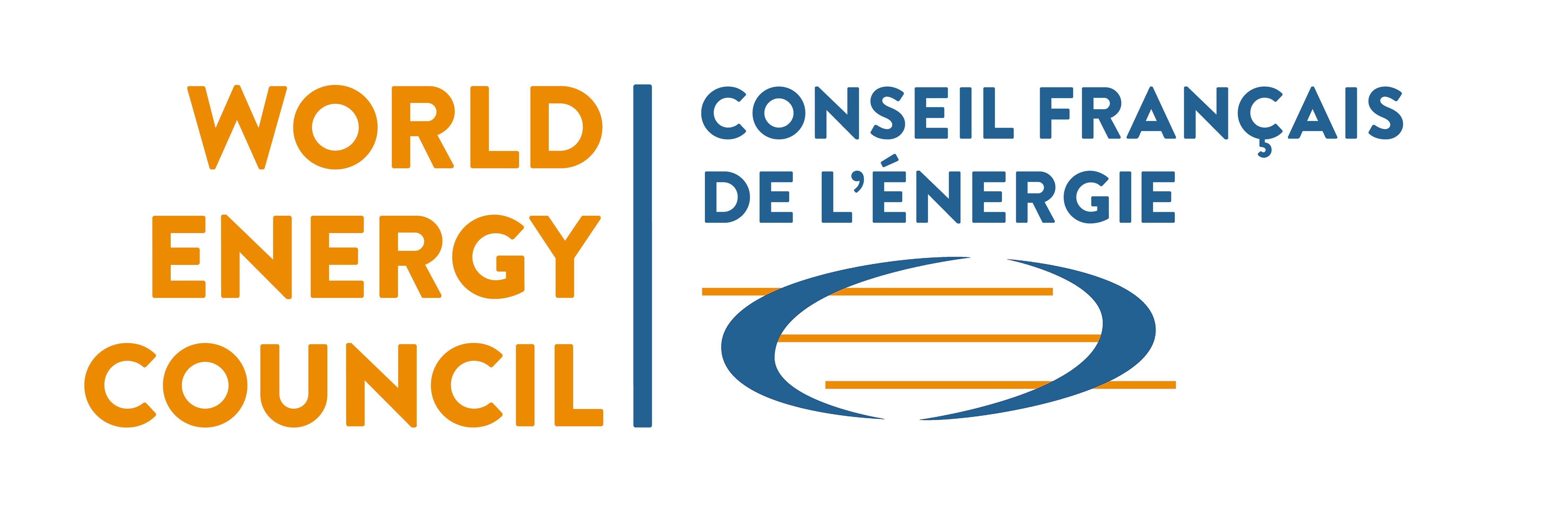 CFE Logo - CFE - Conseil Français de l'Énergie