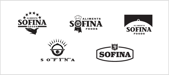 Sofina Logo - The title of your home page