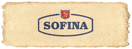 Sofina Logo - The title of your home page