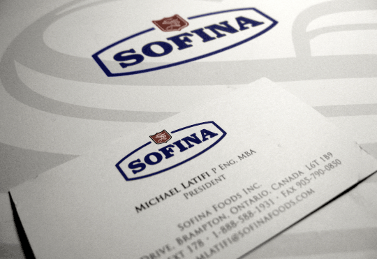 Sofina Logo - The title of your home page