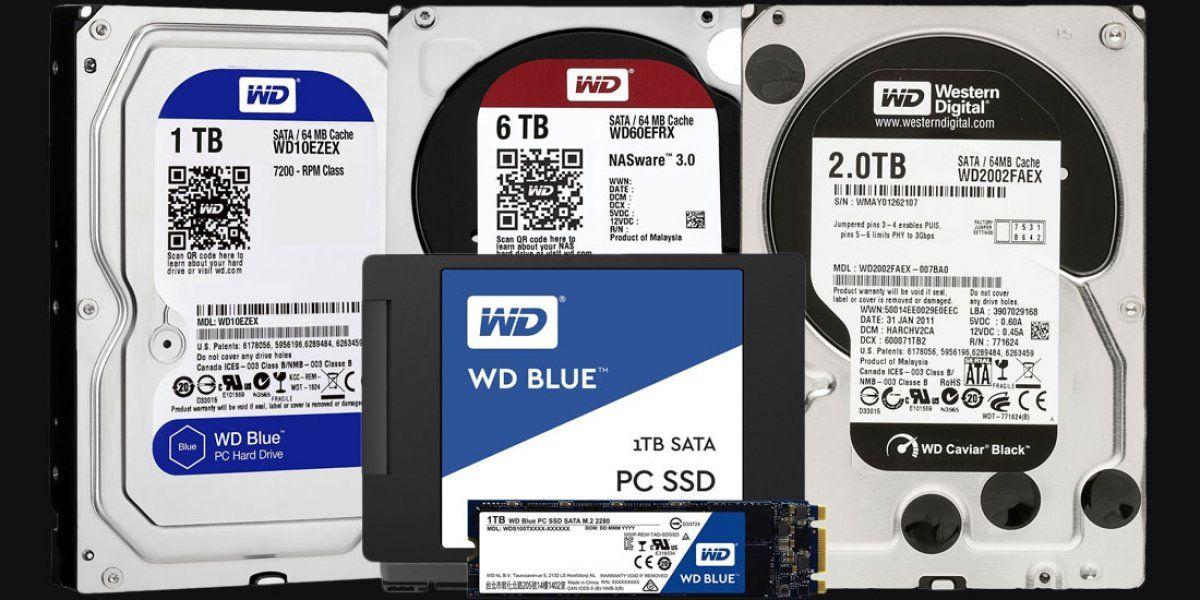 Black and Blue M Logo - WD Blue vs. Black vs. Red & Purple HDD & SSD Differences 2017