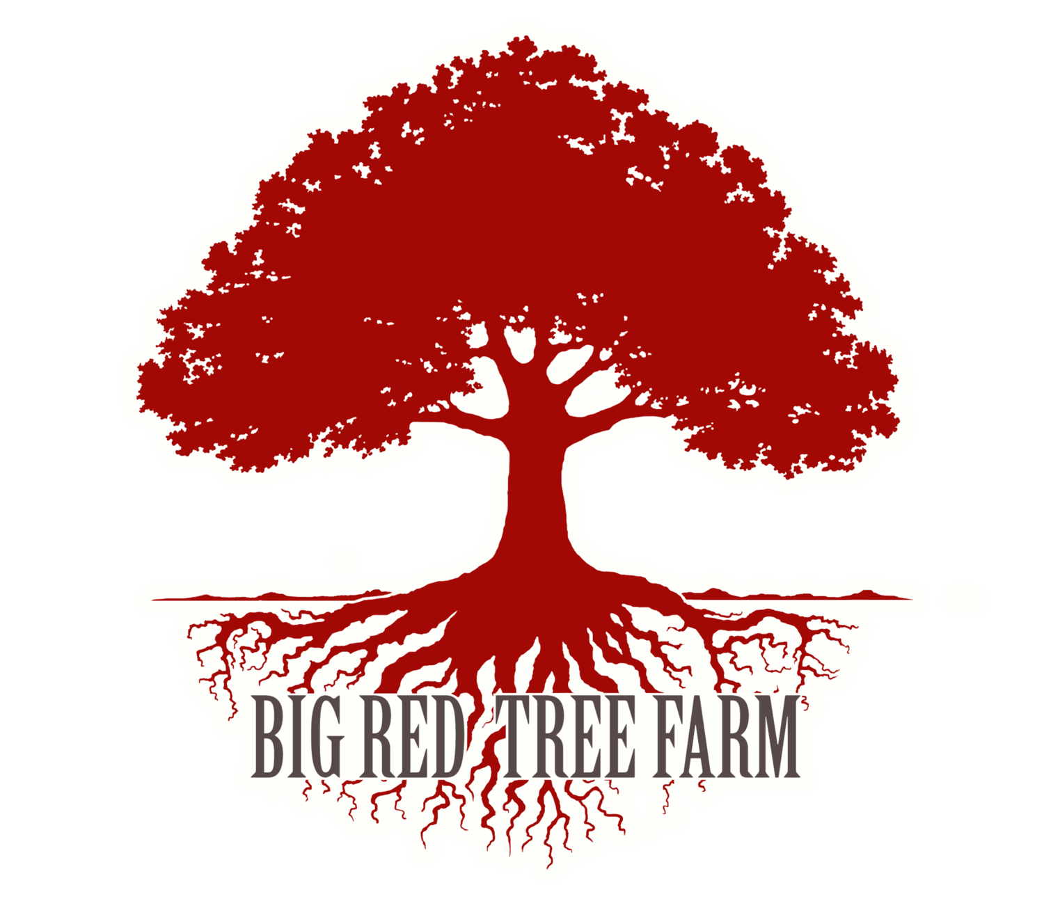 Red Tree Logo - WELCOME — BIG TREE FARM