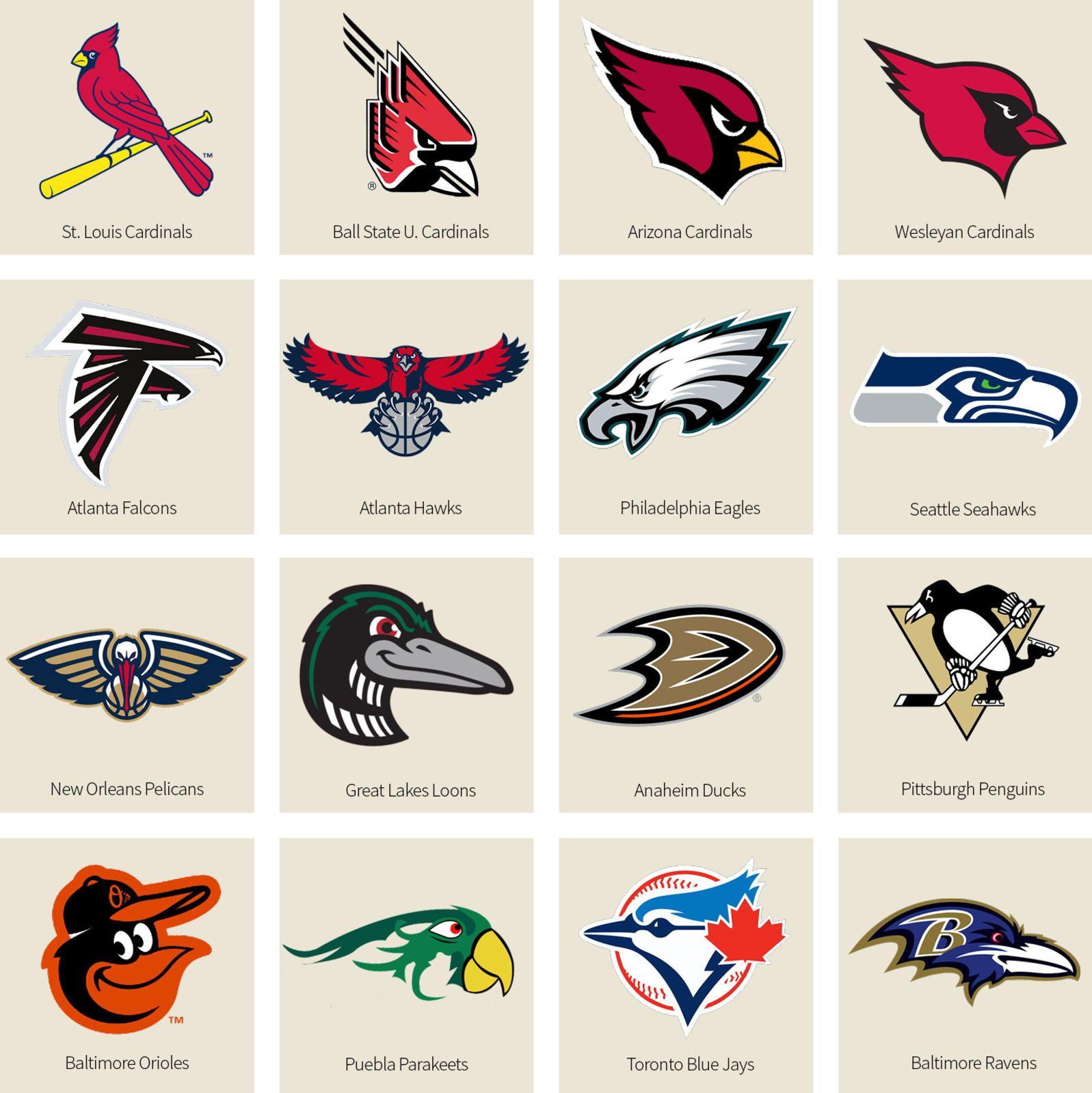 Bird Sports Logo - Bracket: What's The Best Bird-Named Sports Team? We Have a Winner ...