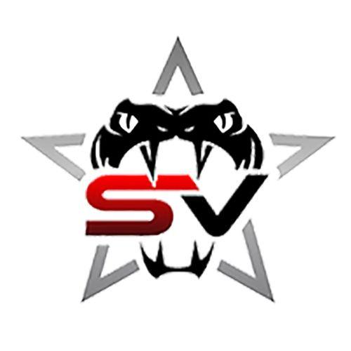 New Viper Logo - BUSINESS SPONSORS/FAMILY SPONSORS — Stars Vipers Den