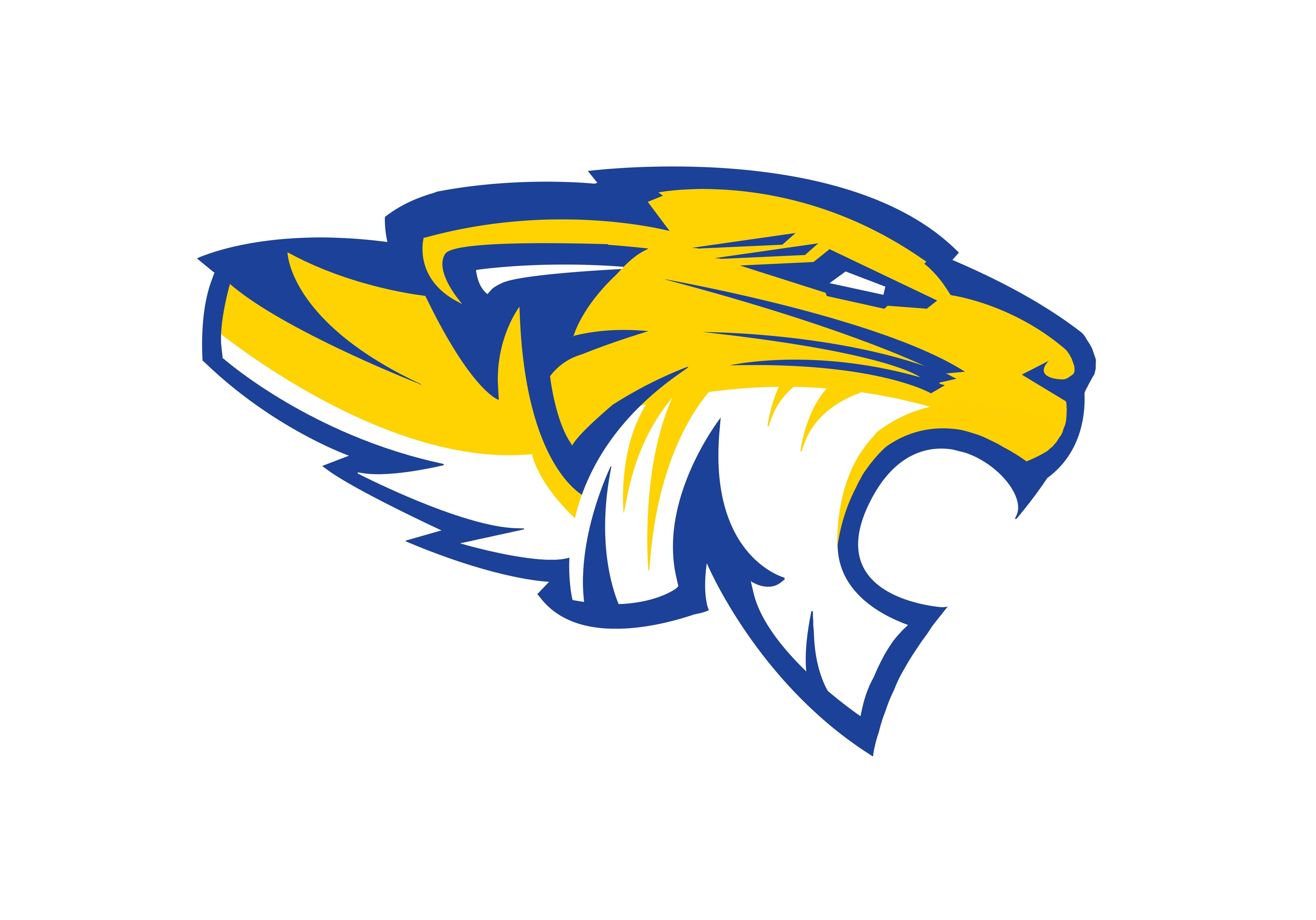 Tiger Paw Logo - Official FISD Logos