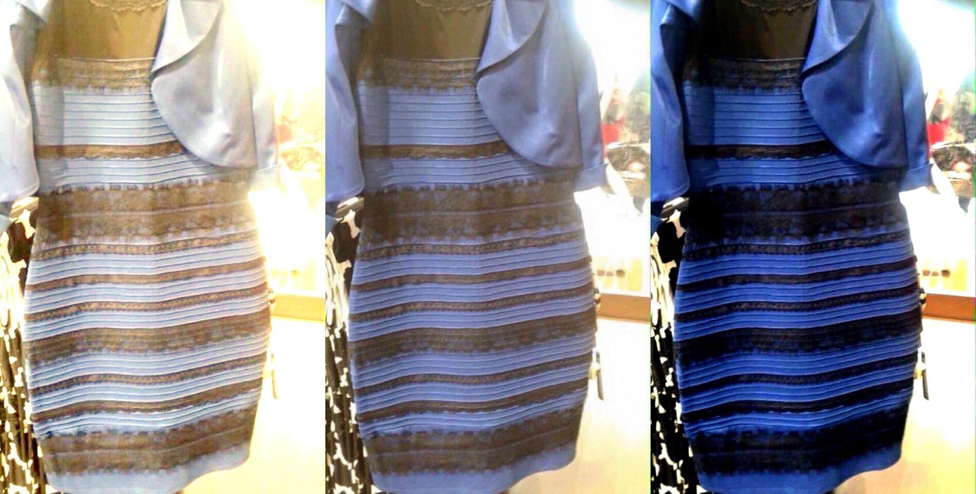 Famous Black and Blue Logo - The Science of Why No One Agrees on the Color of This Dress