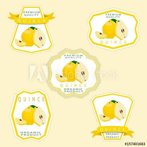 Yellow Produce Logo - Vector illustration logo for whole ripe yellow fruit quince green