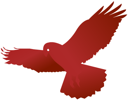 Red Tail Hawk Logo - Red Tail Hawk Logo Design | Design Elements | Pinterest | Logo ...