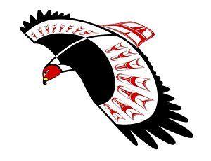 Red Tail Hawk Logo - Red-tailed Hawk Drawings | Fine Art America