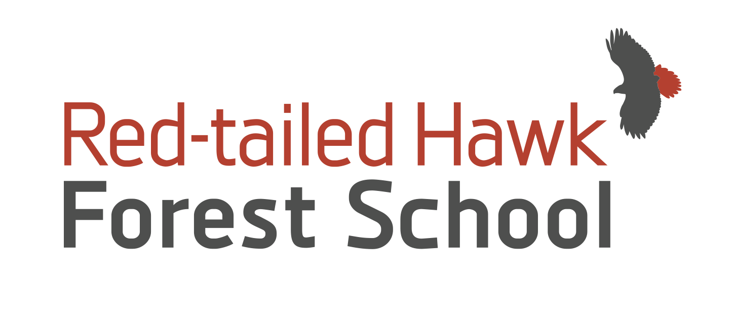 Red Tail Hawk Logo - Red-tailed Hawk Forest School