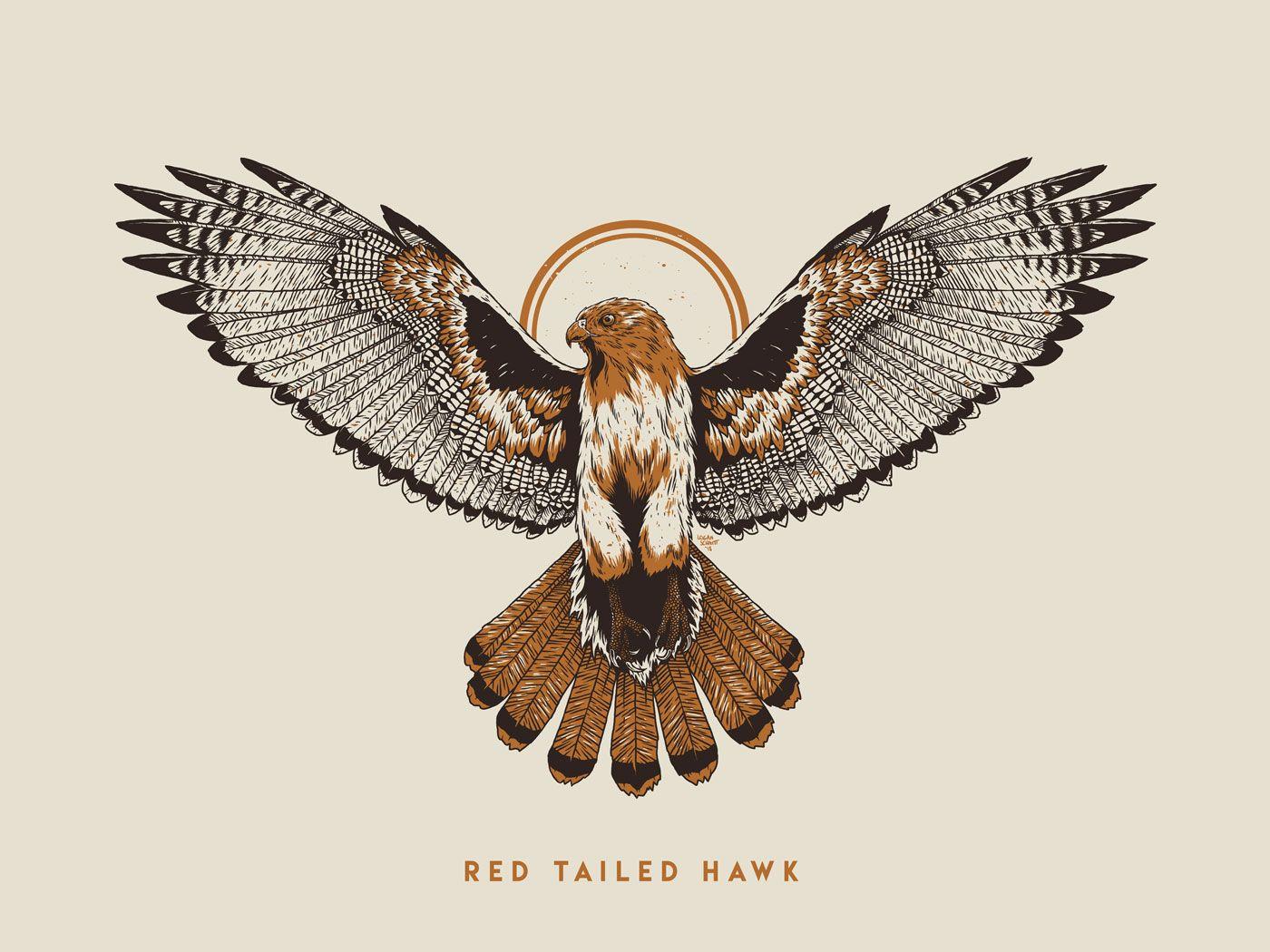 Red Tail Hawk Logo - Our mascot's flattering portrait