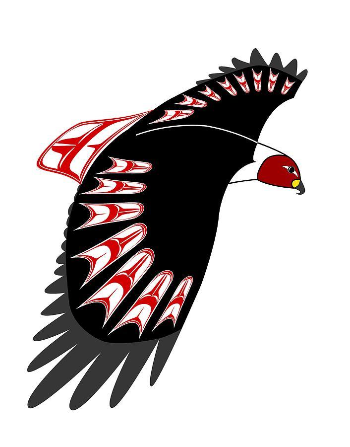 Red Tail Hawk Logo - Red Tail Hawk Drawings | Fine Art America