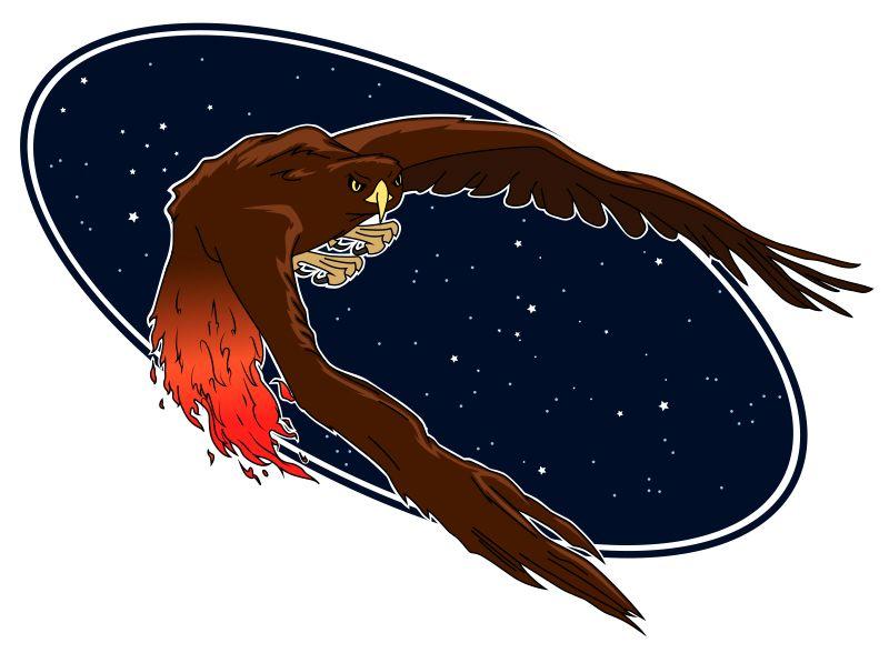 Red Tail Hawk Logo - Professional Portfolio — Sean Blackford Art