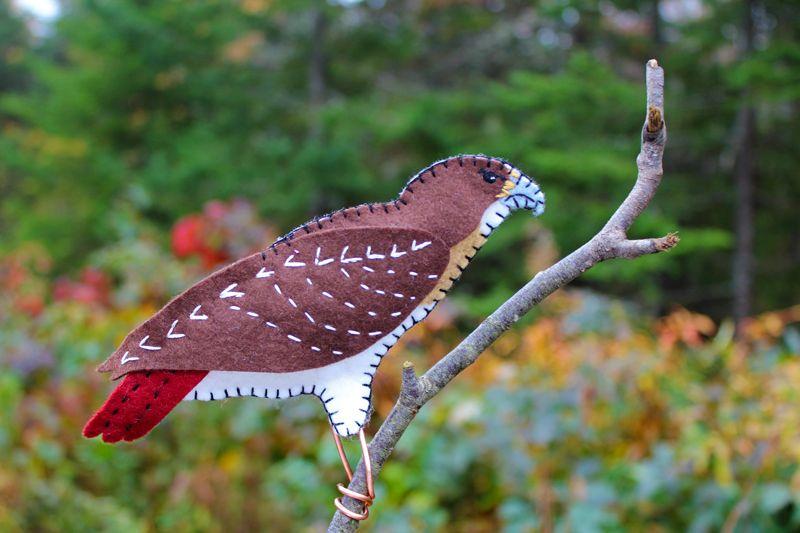 Red Tail Hawk Logo - The Ominous Red-tailed Hawk | Downeast Thunder Farm