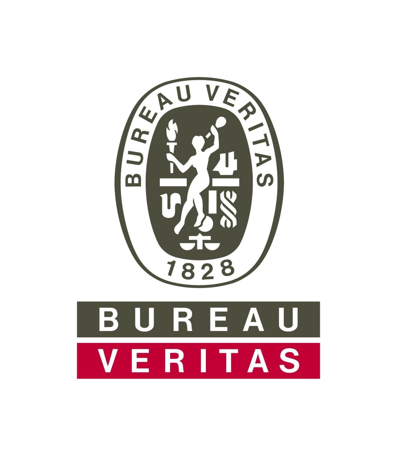 Ve RI Tas Logo - Bureau Veritas - DTOceanPlus - Design tools for ocean energy systems