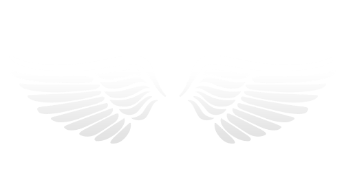 Black and White Angels Logo - Angel Networks – Angel Investor Groups | ProSeeder Technologies