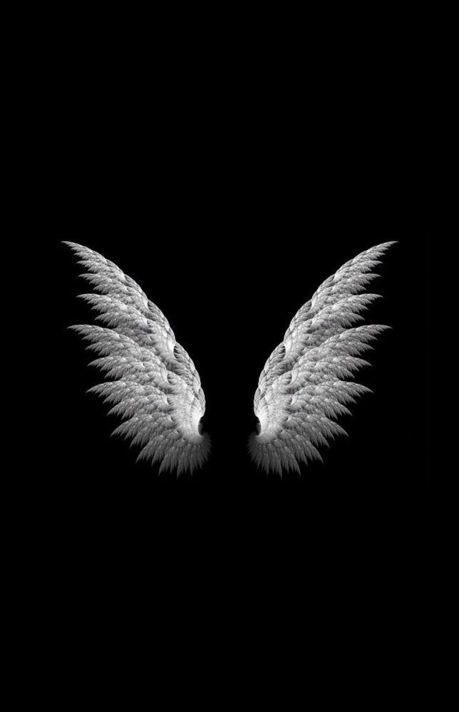 Black and White Angels Logo - Framed Print - White Angel Wings on a Black Background (Picture ...