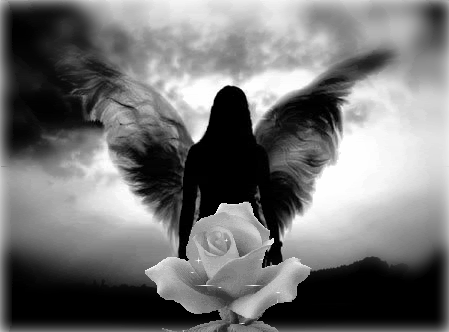 Black and White Angels Logo - black and white angels pictures - Bing Images | Angelic | Angel ...
