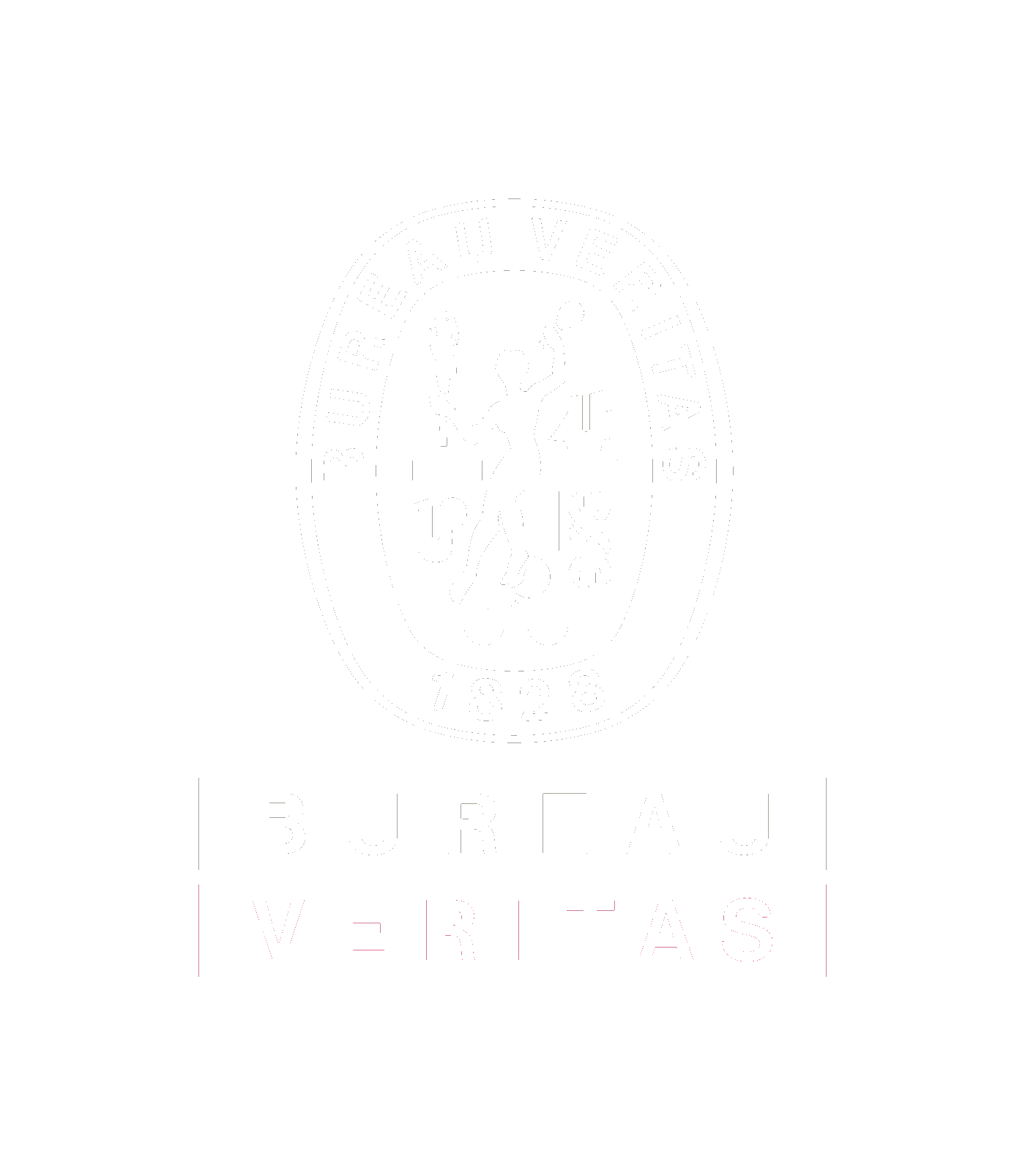 Bureau Veritas Logo - VeriSTAR Dangerous Goods & Bulk