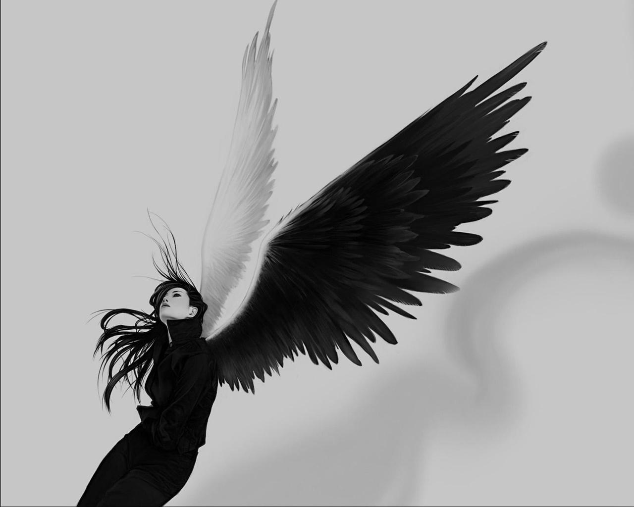 Black and White Angels Logo - Black and White Angel wallpaper from Angels wallpapers