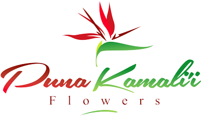 Tropical Flower Logo - Products Archive ⋆ Puna Kamalii Flowers, Inc