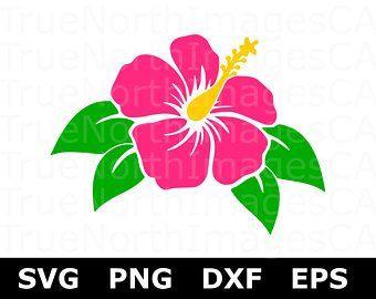 Hawaiian Flower Logo - Hawaiian flower | Etsy