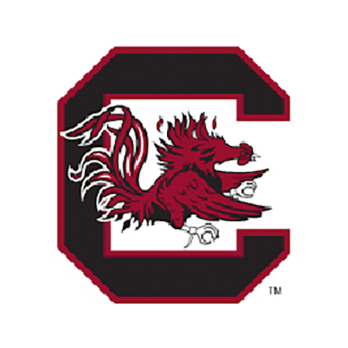 University of South Carolina Logo - University Logos and Marks and Public Affairs