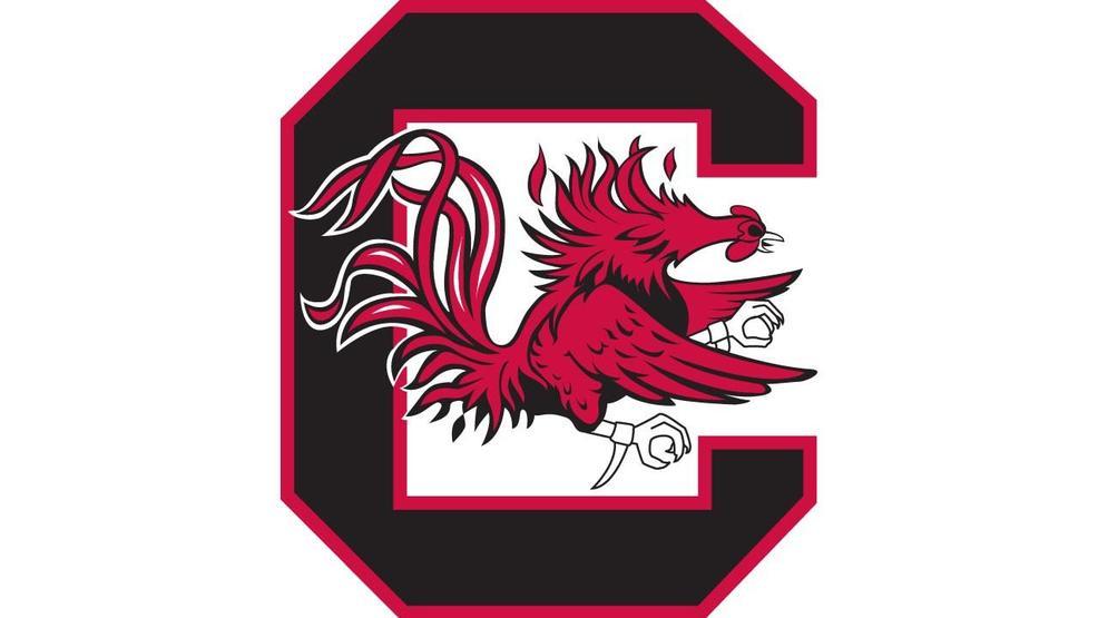 University of South Carolina Logo - University of South Carolina releases new logo